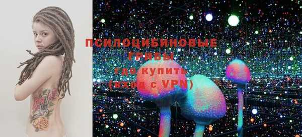 эйфоретик Баксан