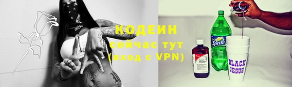 гидра Арсеньев