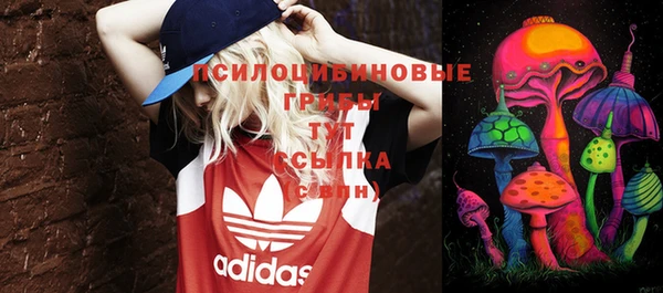 эйфоретик Баксан