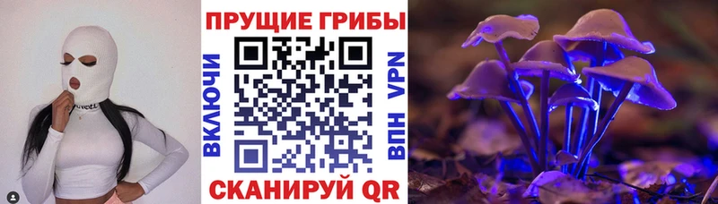 Галлюциногенные грибы Cubensis  Дмитров 